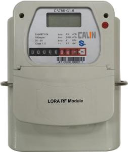 Wholesale G1.6 / G 2.5 / G4 Lora Prepaid And Postpaid Gas Meter , CA768 Prepayment Gas Meter STS from china suppliers