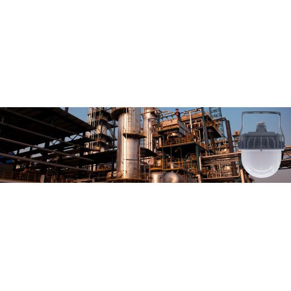 Dustproof Industrial LED Explosion Proof Light With EX Atex 20W-60W IP66 Dustproof High Bay Light