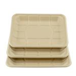 Sugarcane Bagasse Compostable Paper Food Tray 8*6inch eco-friendly 100%
