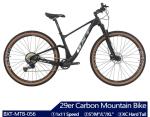 29er Carbon Mountain Bike 11Speed Disc Brake Mountain Complete Bike