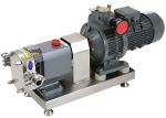 Rotary ZB3A Two Blade Rotor Pump High Pressure Low Speed 4KW