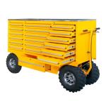 Customer Color Heavy Duty Metal Tool Cabinet Trolley for Workshop and Garage