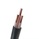 Trailer Suspension PVC Insulation Fireproof Copper Core Low Voltage Power Cables