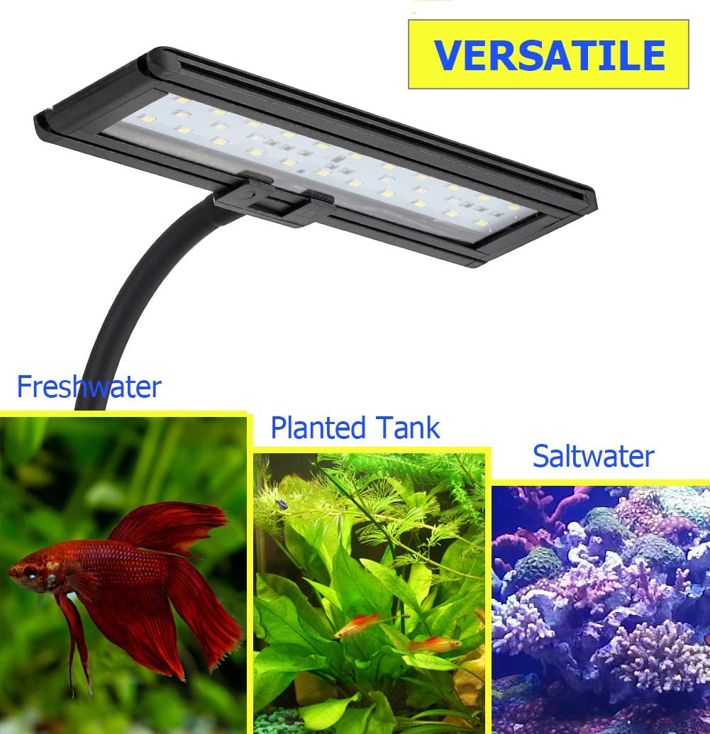 Blue White Gooseneck Clamp RGB Aquarium Light