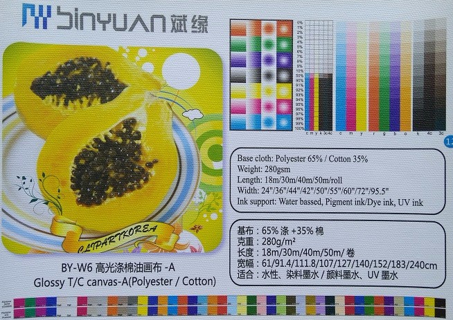 BY-W6 Glossy Dye ink T/C Polyester-Cotton Art printing Canvas