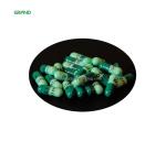 NJP 1200 Automatic Capsule Filling Machine