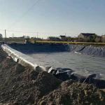Double Smooth 0.1mm 3mm Hdpe Geomembrane Sheet Liner For Fish Pond Liner 1m-10m