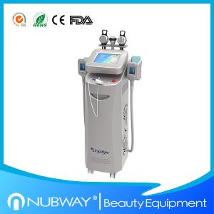 Wholesale Best seller!!! Low price for 5 handles latest cryolipolysis slimming machine from china suppliers