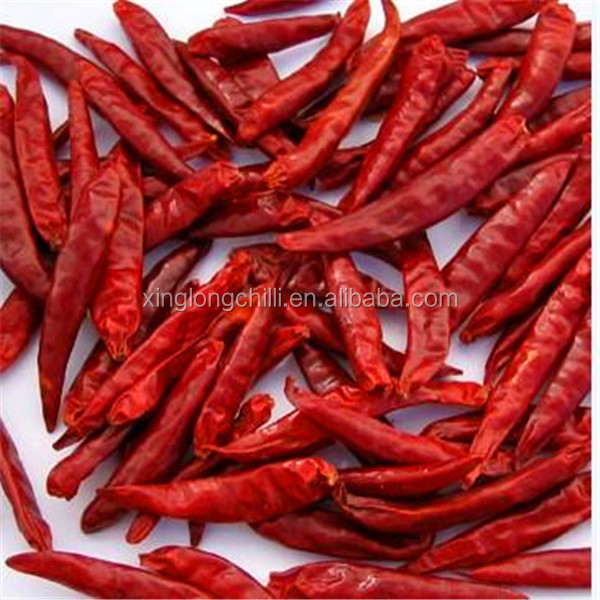 Export to USA red and green Dried hot chilli pepper
