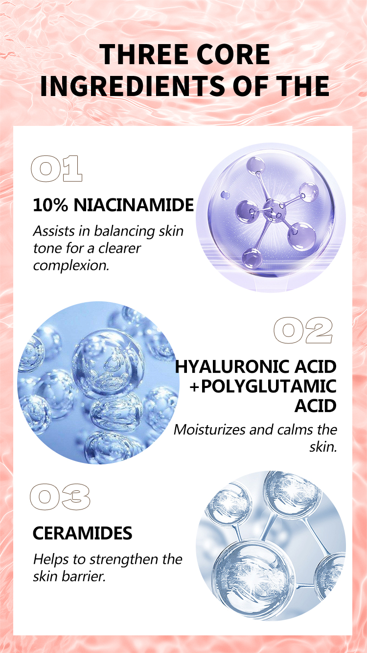 Private Label Niacinamide 10 and Txa 4 Serum Dark Spot Aha Organic Moisturizing Rejuvenating Niacinamide Face Care Serum