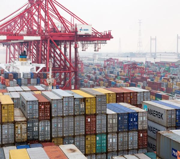 FBA FCL LCL Container Shipping DDP DDU Door To Door Delivery Service To Los