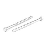 Payment Term T/T Carbon Steel Hex Concrete Bolt Metal Anchor Masonry Screws For