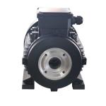 5.5kw High Speed Hollow Shaft Motor 100% Copper Winding For Steam Cleaning