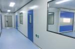 2100mm Electrostatic GMP Hygiene Clean Room Doors