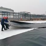 Direct 0.5mm Eco-Friendly HDPE Plastic Geomembrane for Fish Pond Roll Length 50