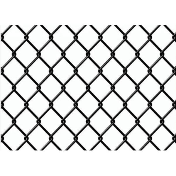 Diamond Sportsfield Pvc Coated Wire Mesh Stainless Steel Welded 5m Fence