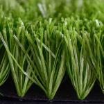Stadium Football Synthetic Grass Mono Filament Yarn S Shape ISO9001