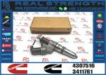 Hight Quality Fuel Injector Assembly 4928260 For Cummins 4307516 4307525