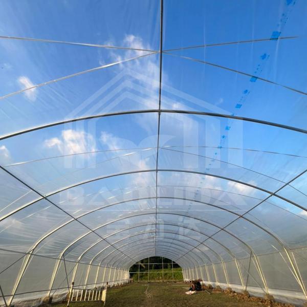 1.5 Meter Arch Rod Distance Agricultural Greenhouses for Superior Farming