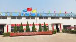 Professional Die-Casting Moulds Manufacture P20/718/738/NAK80/S136/2738/2316 for