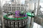 20000BPH Aloe Pulp Juice Filling Machine Glass Bottle Carbonated Drink Filling