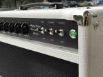 Grand Amplifier Head JCM25/50 "Silver Jubilees" 2555 or 2550 style 2 Channel