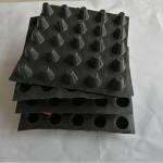 Roof Systems Plastic Hdpe Dimple Drainage Board Sheet