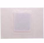 Herbal Menstrual Pain Patch