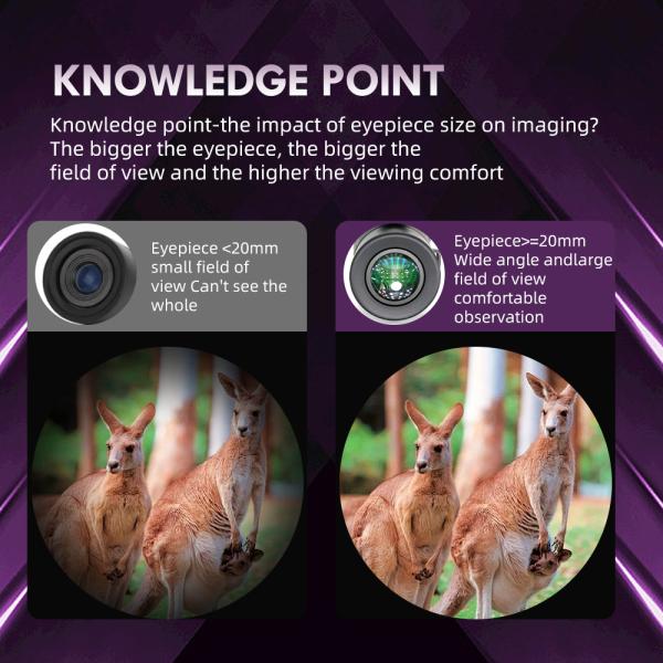 12x50 ED Optical Monocular IPX7 Nitrogen Filled Telescope For Birdwatching