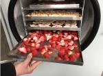 Multifunction Industrial Food Freeze Dryer Mini Vacuum Food Lyophilizer