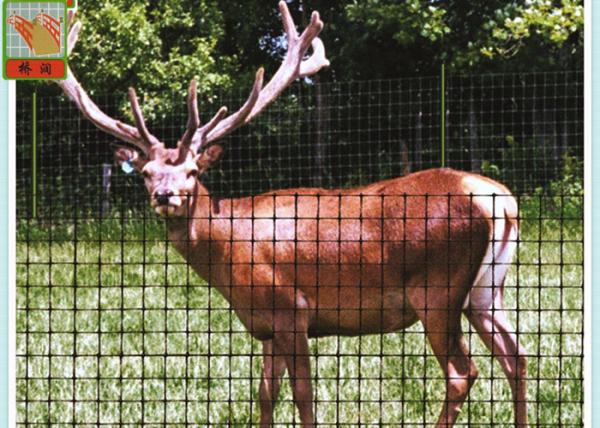 Strong Black Plastic Mesh, Deer Fence Netting, Deer Barrier, 1 Meter High, 50MM