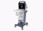 BCU -30 PRO Mobile Ultrasound Machine , Portable Color Doppler Ultrasound