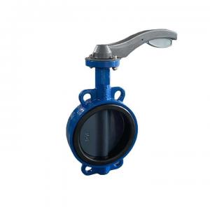 Wholesale Cast Iron Lug Type Valve Butterfly Valve PN10 DIN3202 Custom from china suppliers