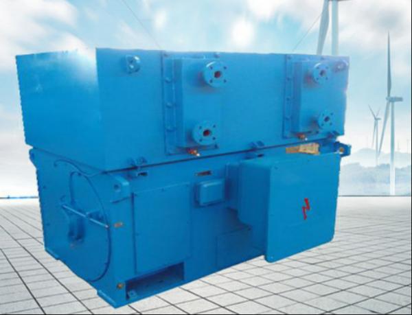 4 To 16 Poles Synchronous AC Three Phase Induction High Voltage AC Motor 100rpm