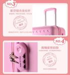 Wholesaler Customized ABS Riding Luggage Great Price 4 Wheels Trolley Bag