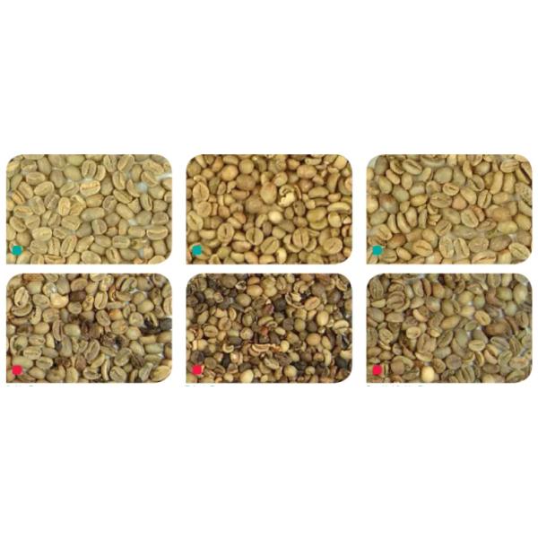 2 Chutes Coffee Bean Color Sorter 99.9% Accuracy