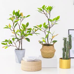 Wholesale Real Looking Artificial Mangrove Waterpoof Bathroom Decoration Plant from china suppliers