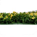 Football Field Artificial Grass Walls 30mm , Artificial Green Grass Carpet For
