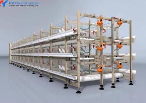 Wholesale Easy Install Broiler Chicken Cage Automatic Chicken Feeding System For Poultry from china suppliers