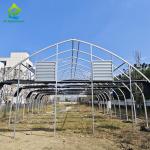Low Tunnel Plastic Film Galvanized Steel Frame Structure Greenhouse For Sale
