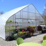 Hot Sale High Tunnel Plastic Single Span Greenhouse Agriculture For Vegetable