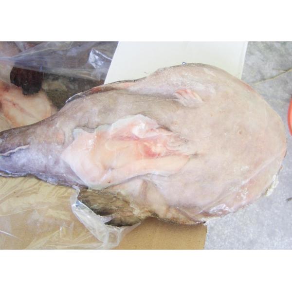 Iqf Freezing Seared Monkfish 10 Kg Net Weight 24 Months Shelf Time