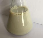 High Temperature Anti-Sticking High Gloss High Hardness Wear-Resisting Carnauba