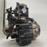 300cc Motorcycle Engine Assembly Single Cylinder Four Stroke Style