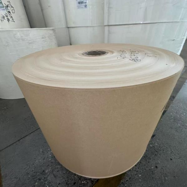 PE Coated Paper Roll Cupstock for food and beverage packaging