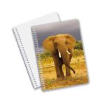 China Low Price Products Custom 3d lenticular printing Flowers Animals Hardcover