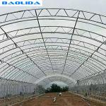 Double Arches Tunnel Plastic Greenhouse Strong Structure Cold Area Support