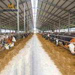 Low Cost Steel Prefabricated Modern Poultry Farm Shed