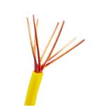 450/750V Rated Voltage PVC Insulated Copper Wire 2.5mm 4mm for Electrical