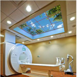 Wholesale Virtual Skylights Mri Compatible Led Lighting Ceiling Panel from china suppliers